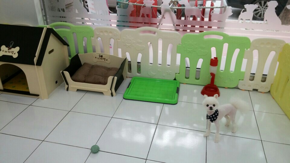 까까멍 대표 이미지