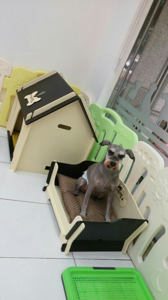 까까멍 대표 이미지