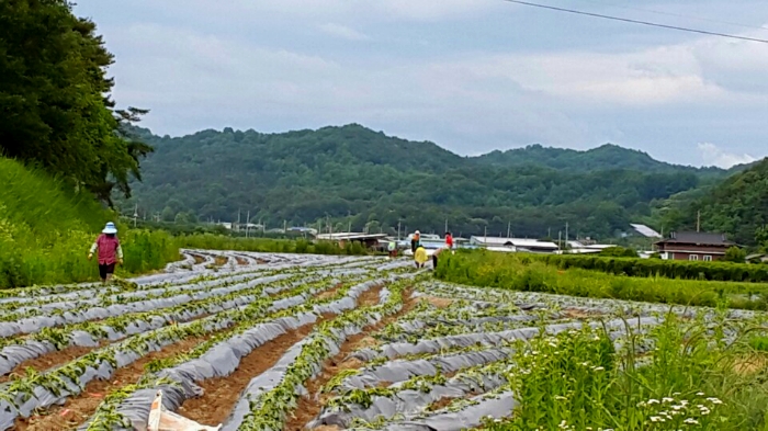 현중농원