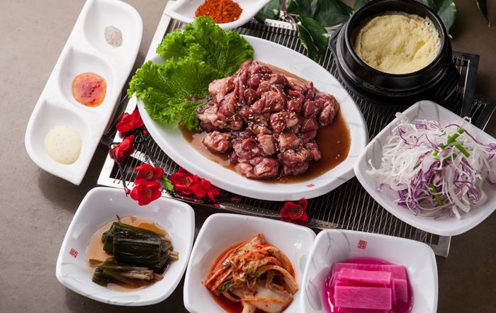 양원마을 반려동물 동반 애견카페