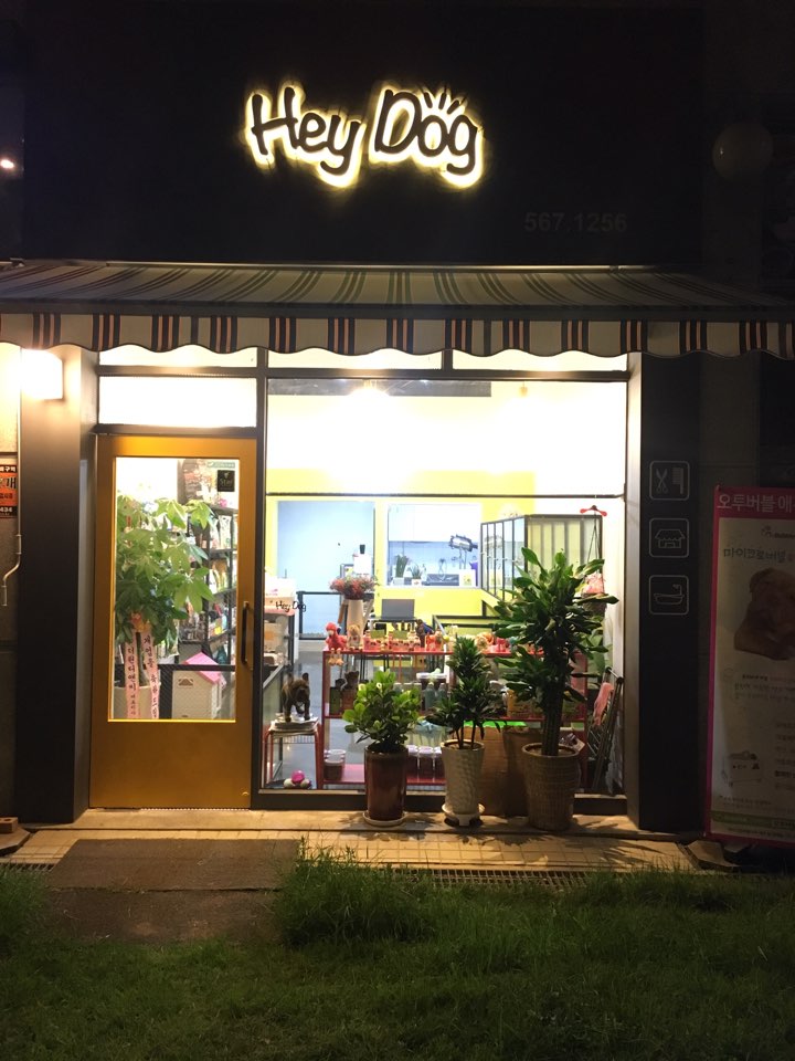 Hey Dog 대표 이미지