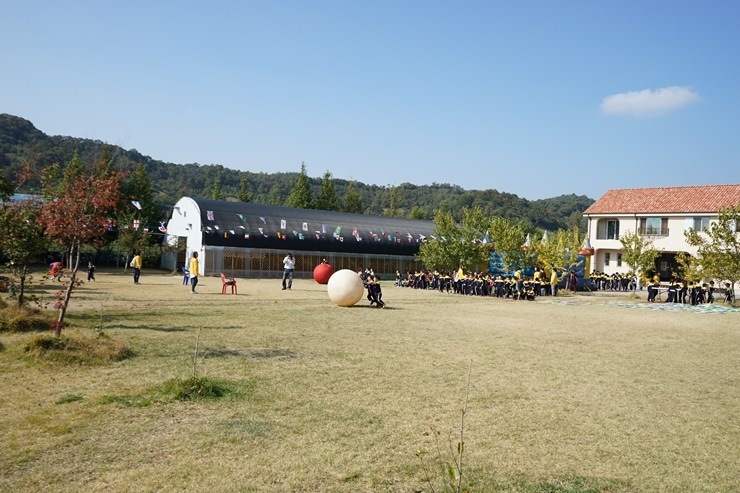 누렁이과수원