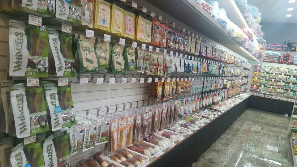 청춘애견 계룡점 대표 이미지