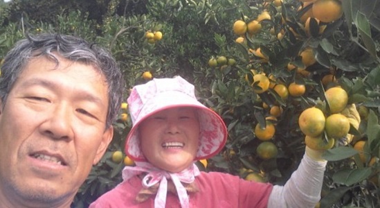 영희네농장