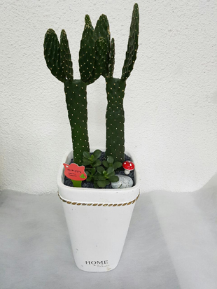 꽃과케익