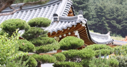 우리건설조경