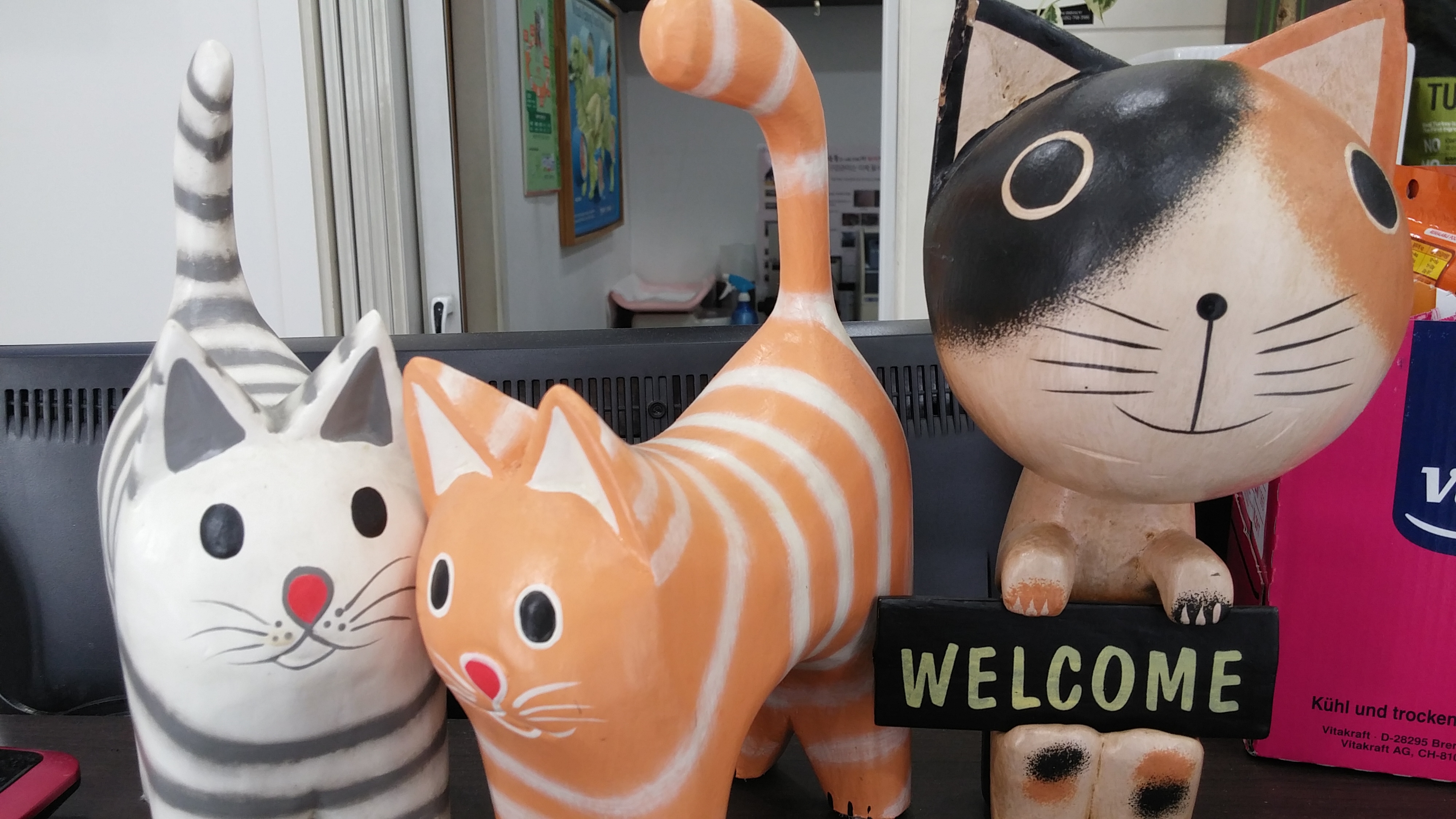 도그앤캣동물병원 대표 이미지