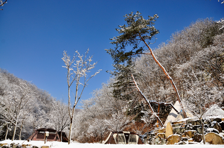 캠핑장 사진