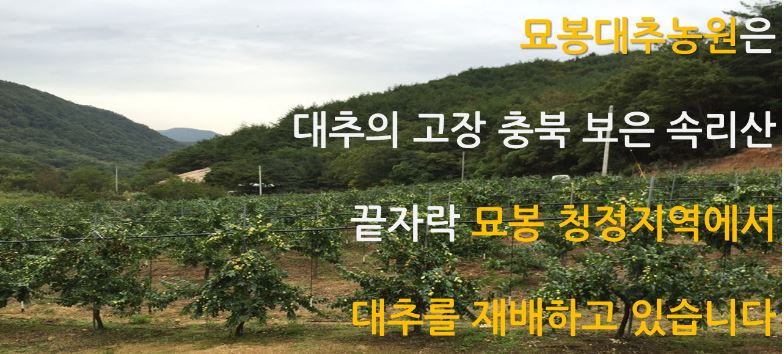 묘봉대추농원