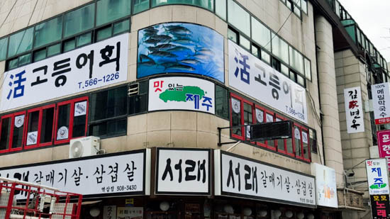 맛있는제주