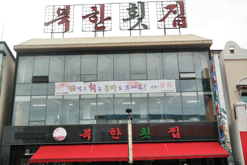 대포항횟집 강원 애견맛집