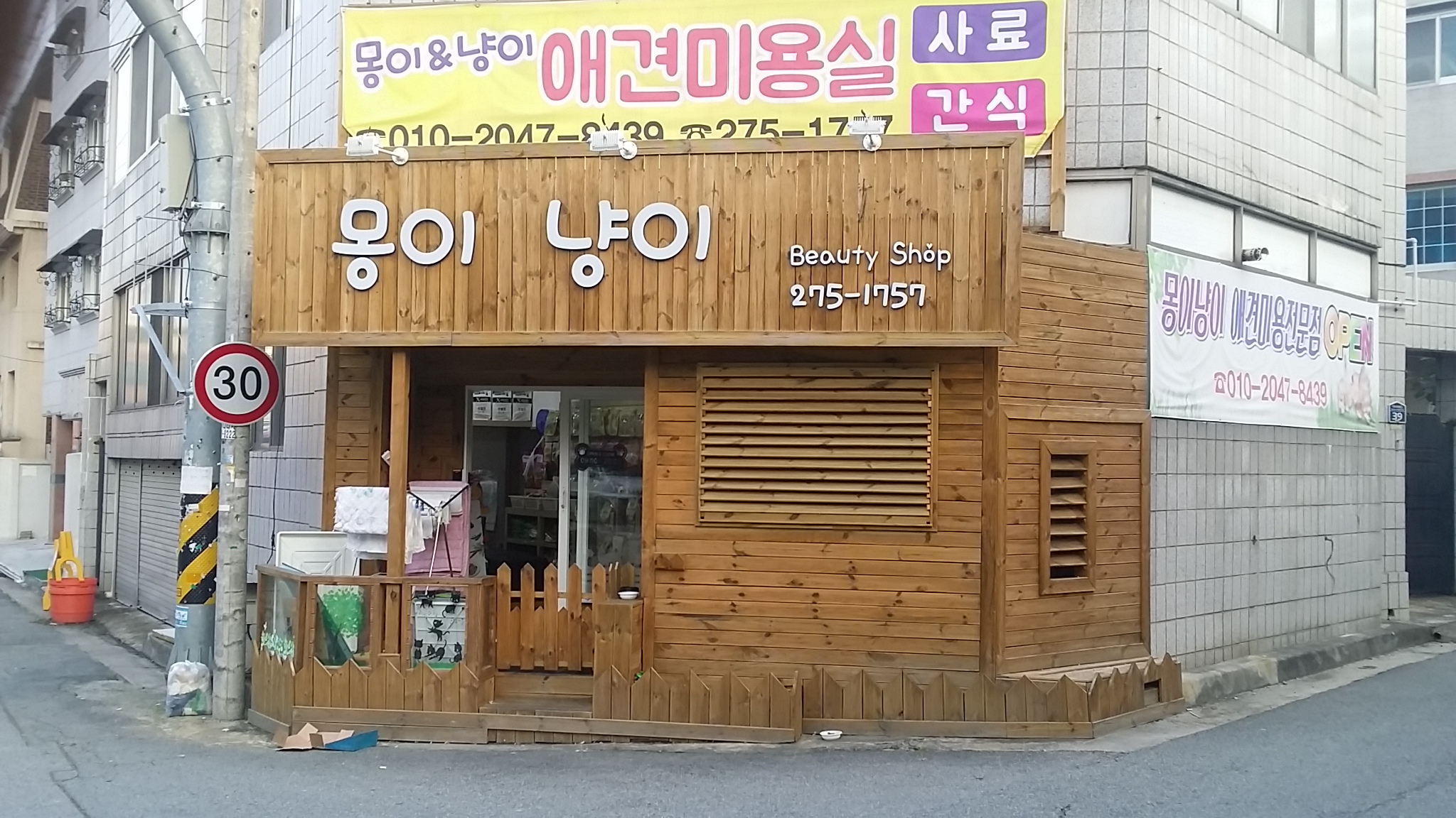 몽이냥이
