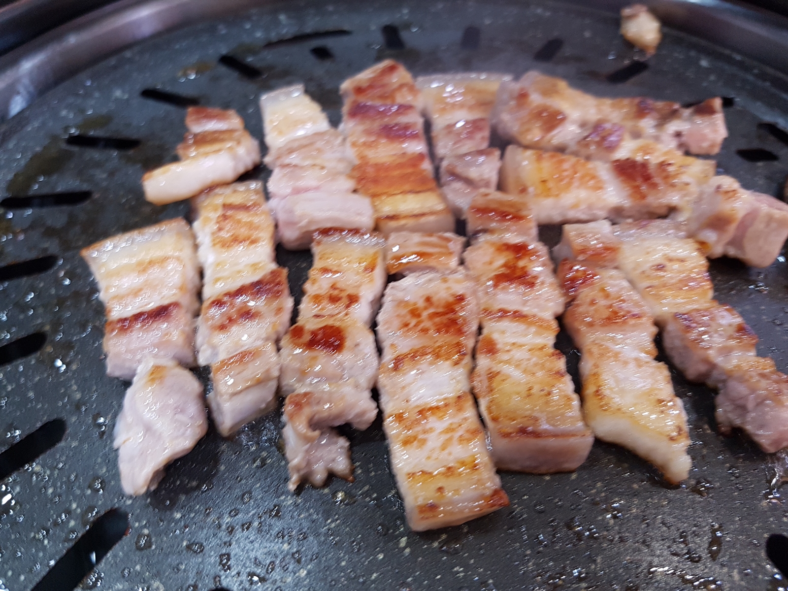 신씨고집