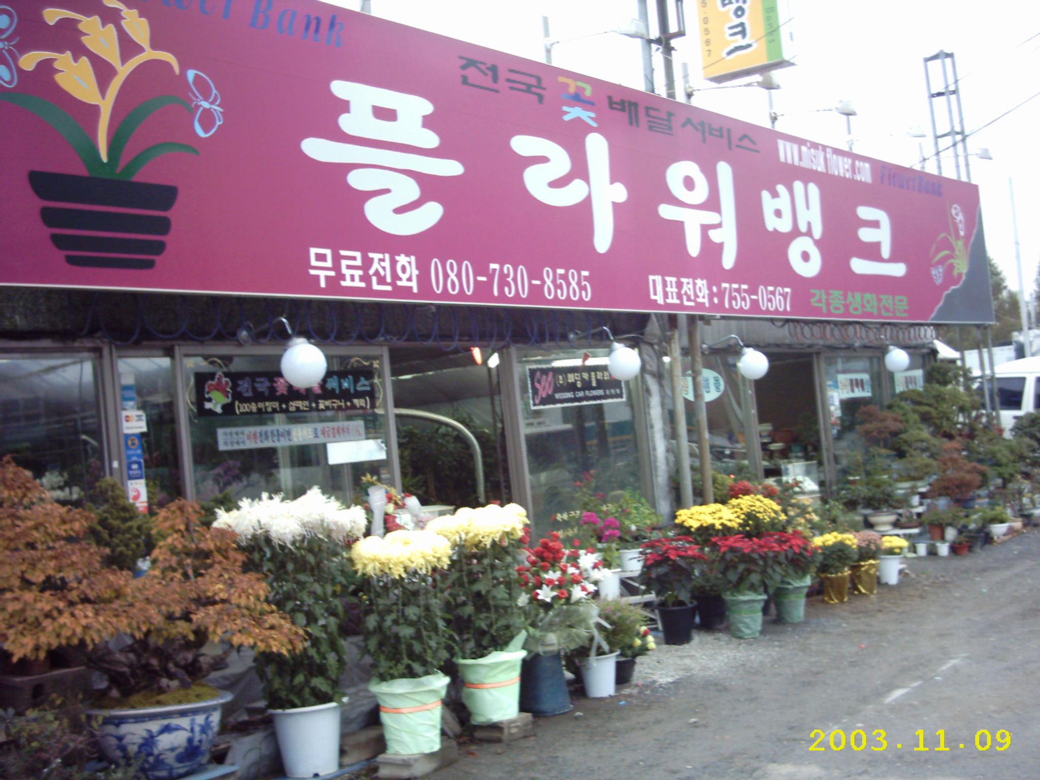 플라워뱅크