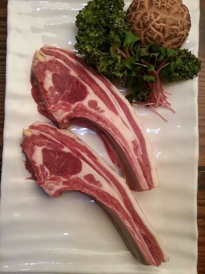 양이랑