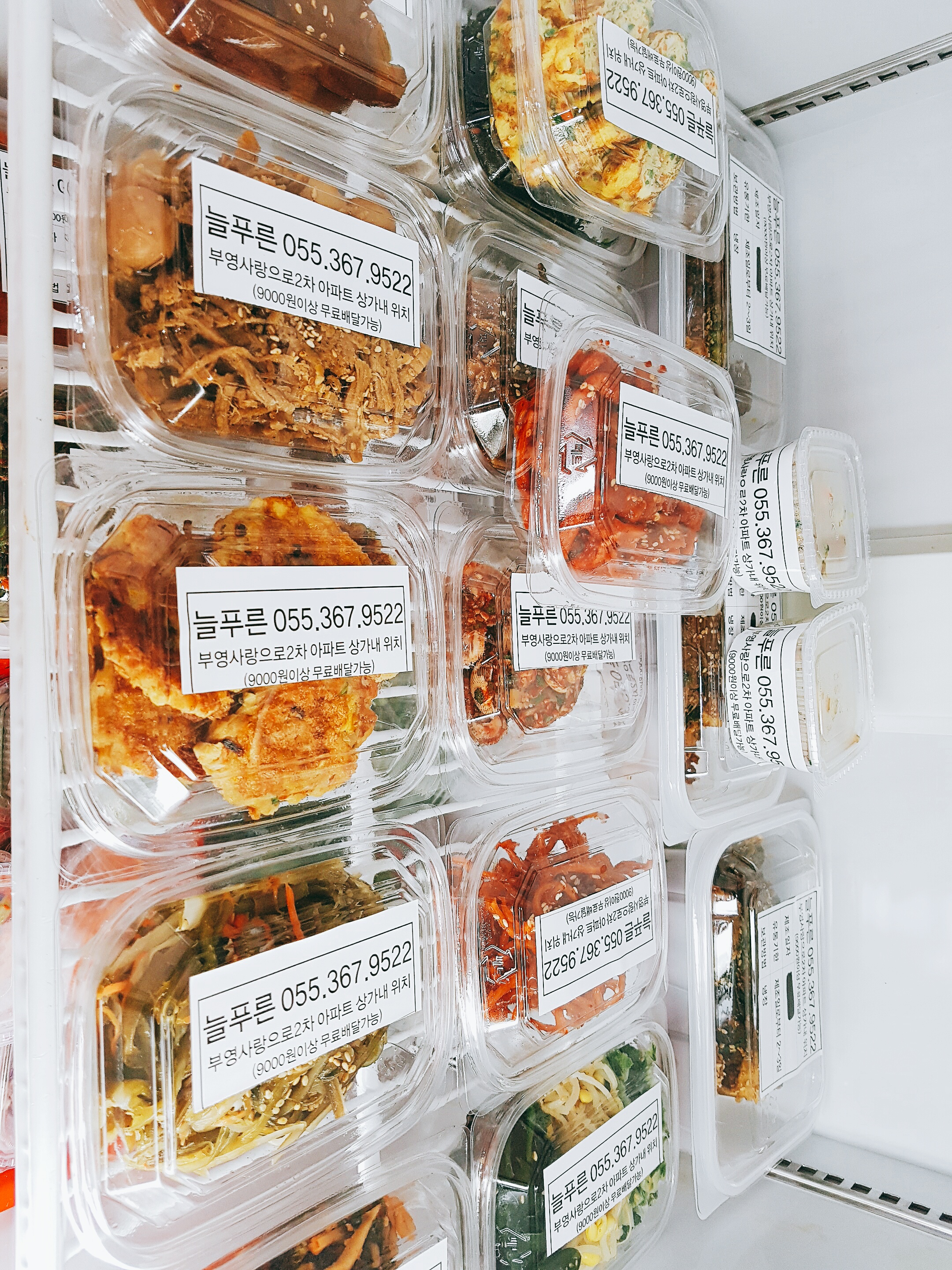 늘푸른