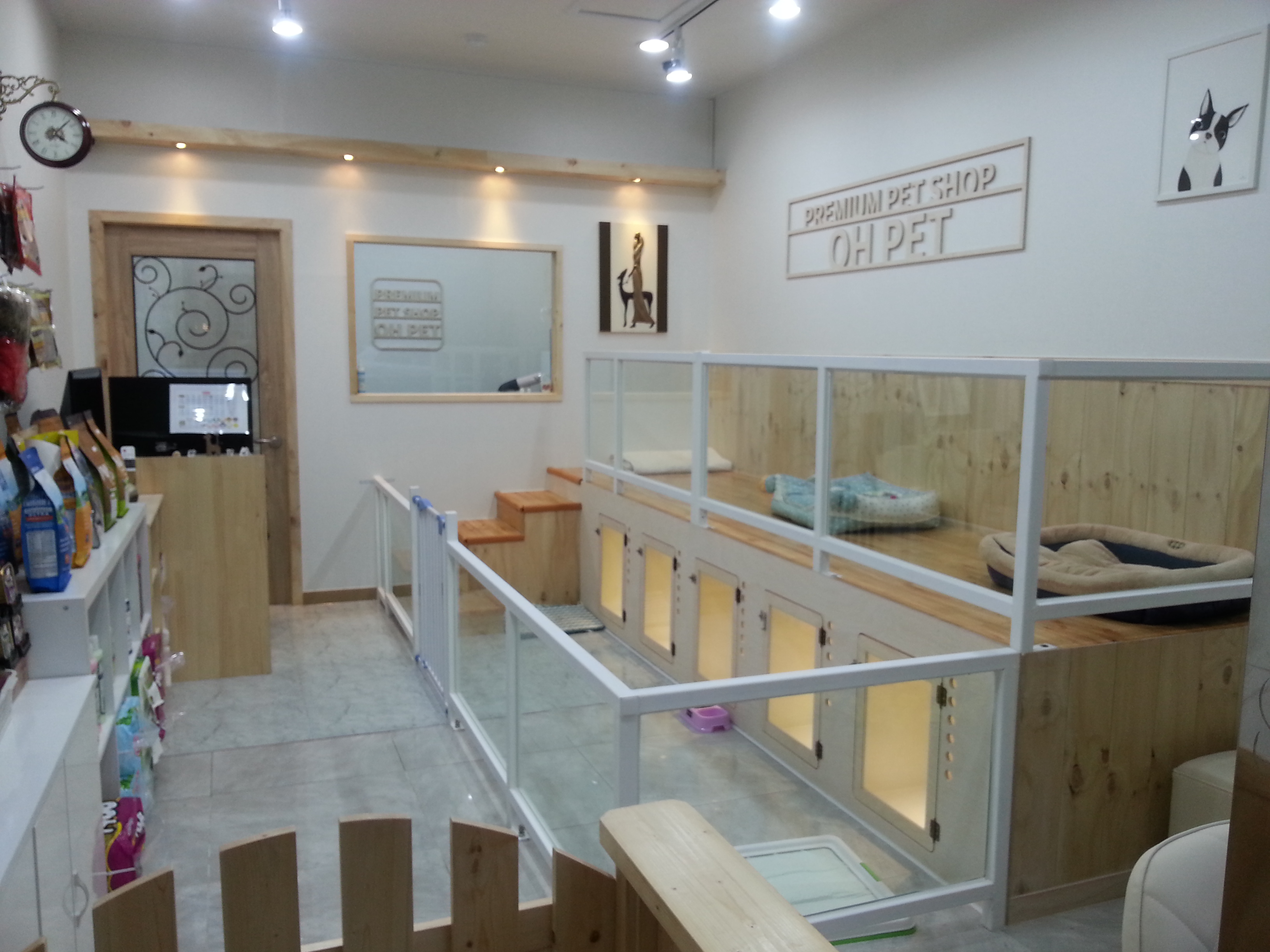 오펫애견샵 대표 이미지