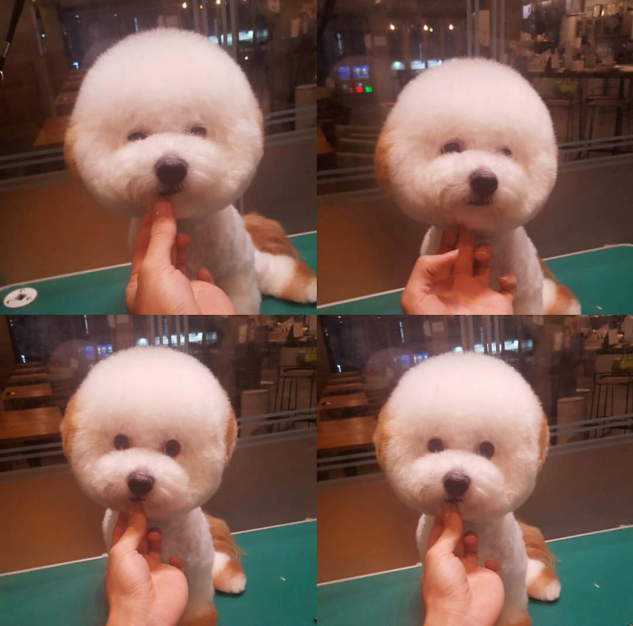 봉브라더스 대표 이미지