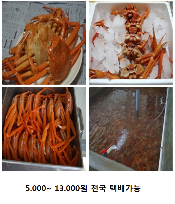옥이수산