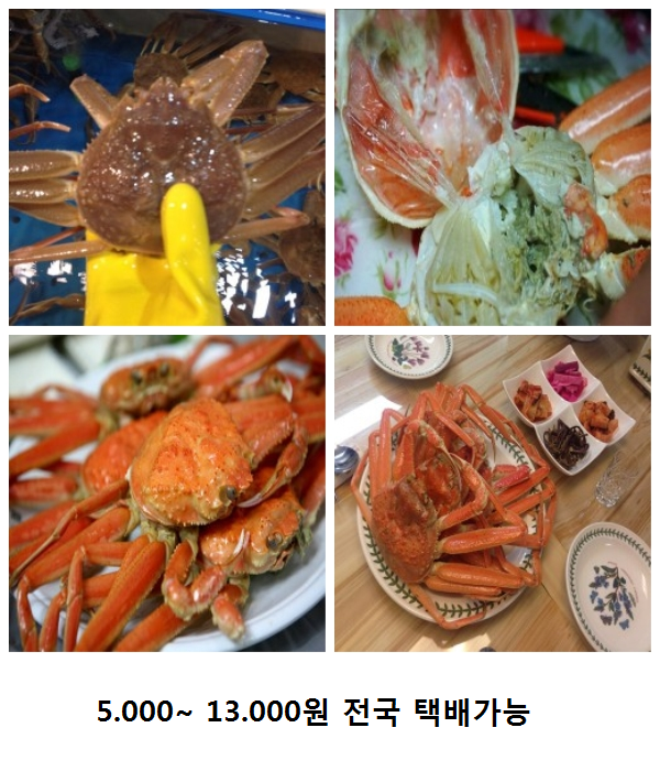 옥이수산