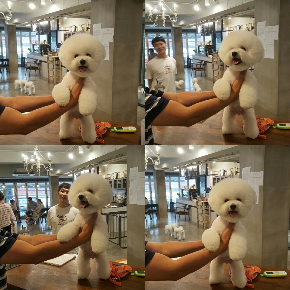 이미지