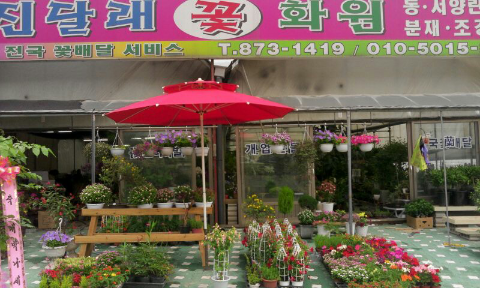 진달래꽃화원