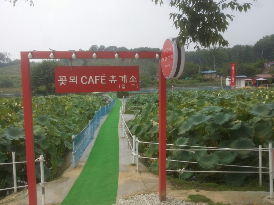 꽃뫼비단잉어