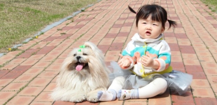 원무역상사 대표 이미지