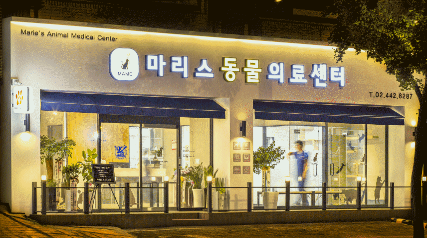 주변 가볼만한 곳