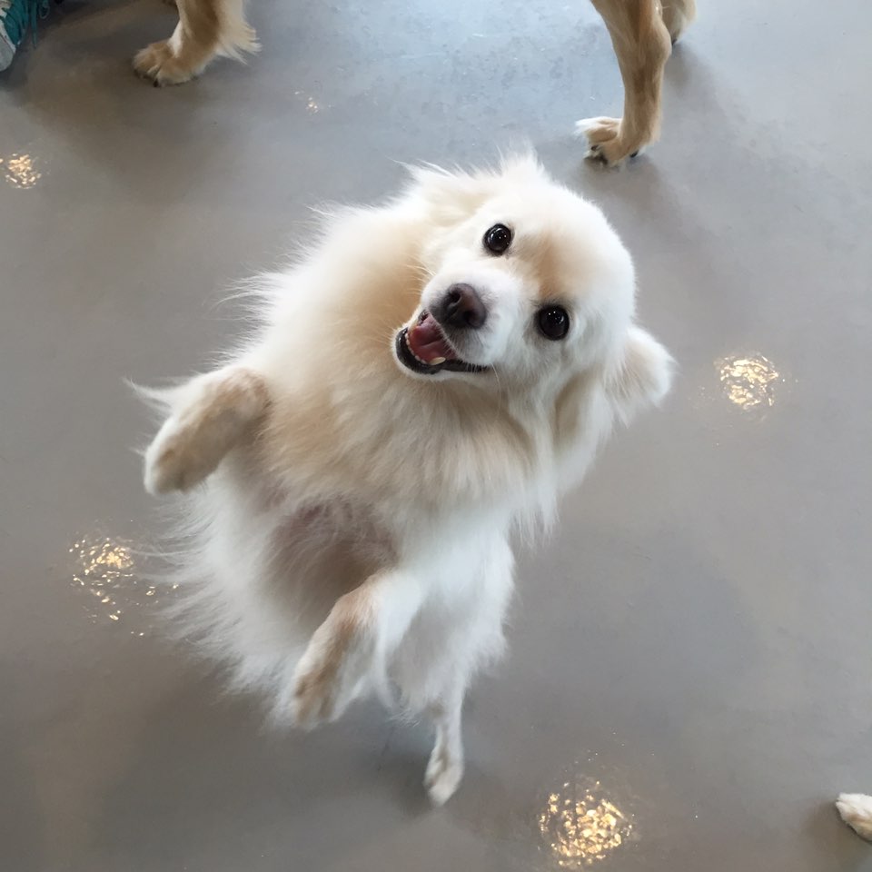 히릿 건대점 대표 이미지