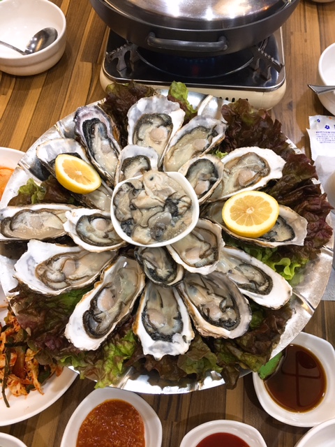 굴세상