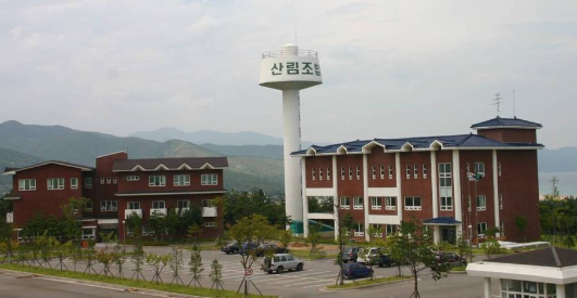 산림조합중앙회 동부목재사업본부