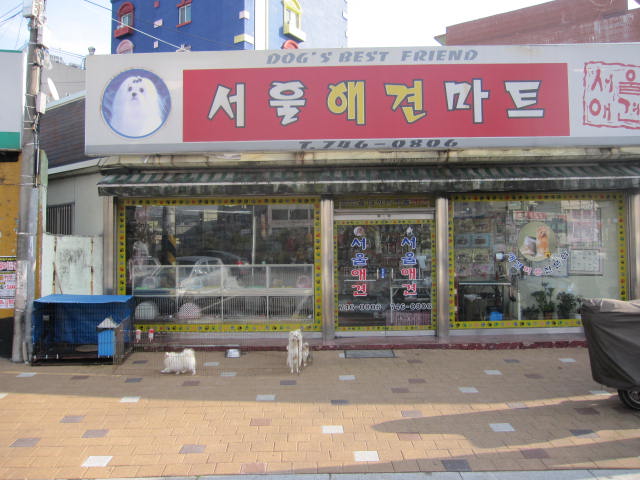 서울애견마트