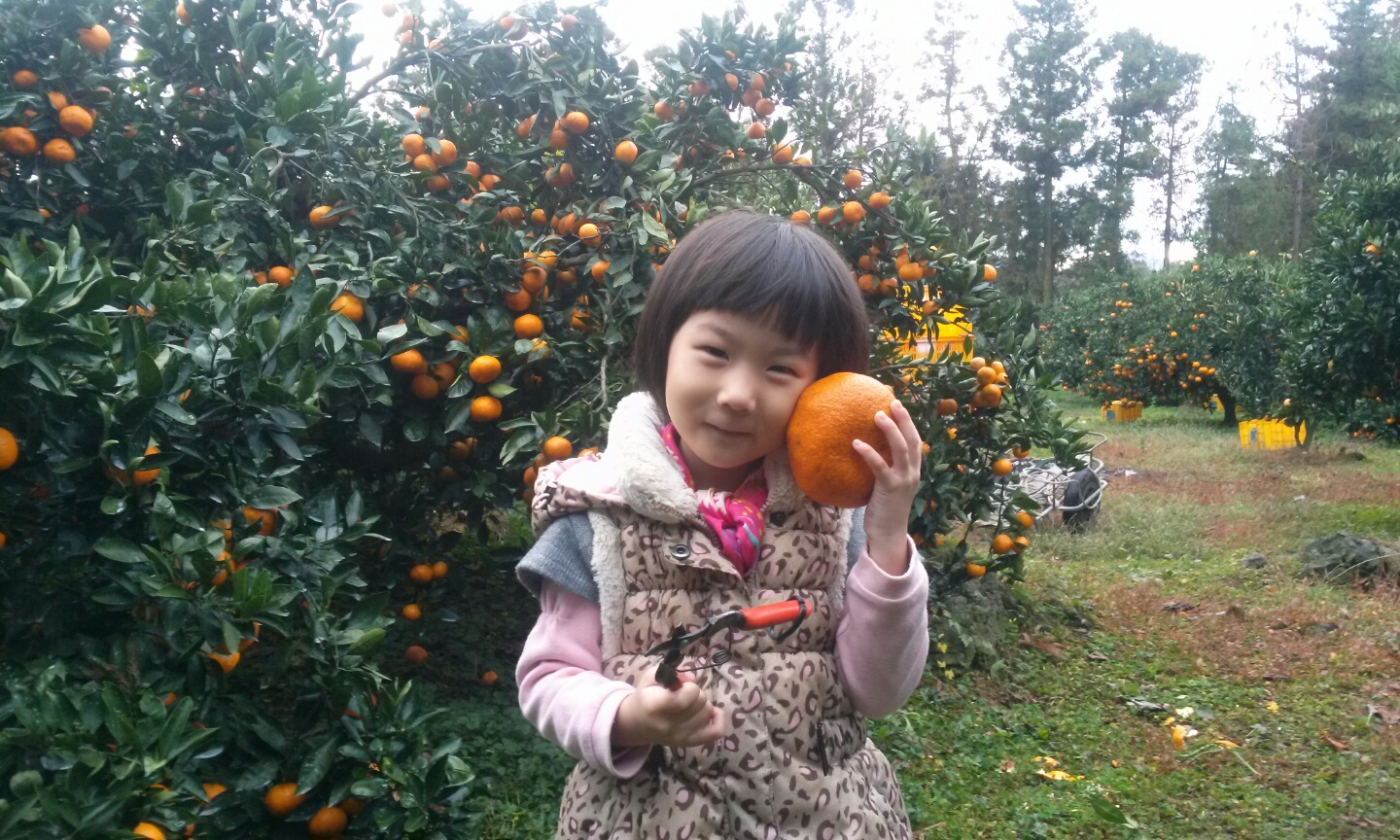 친환경제주드림펜션