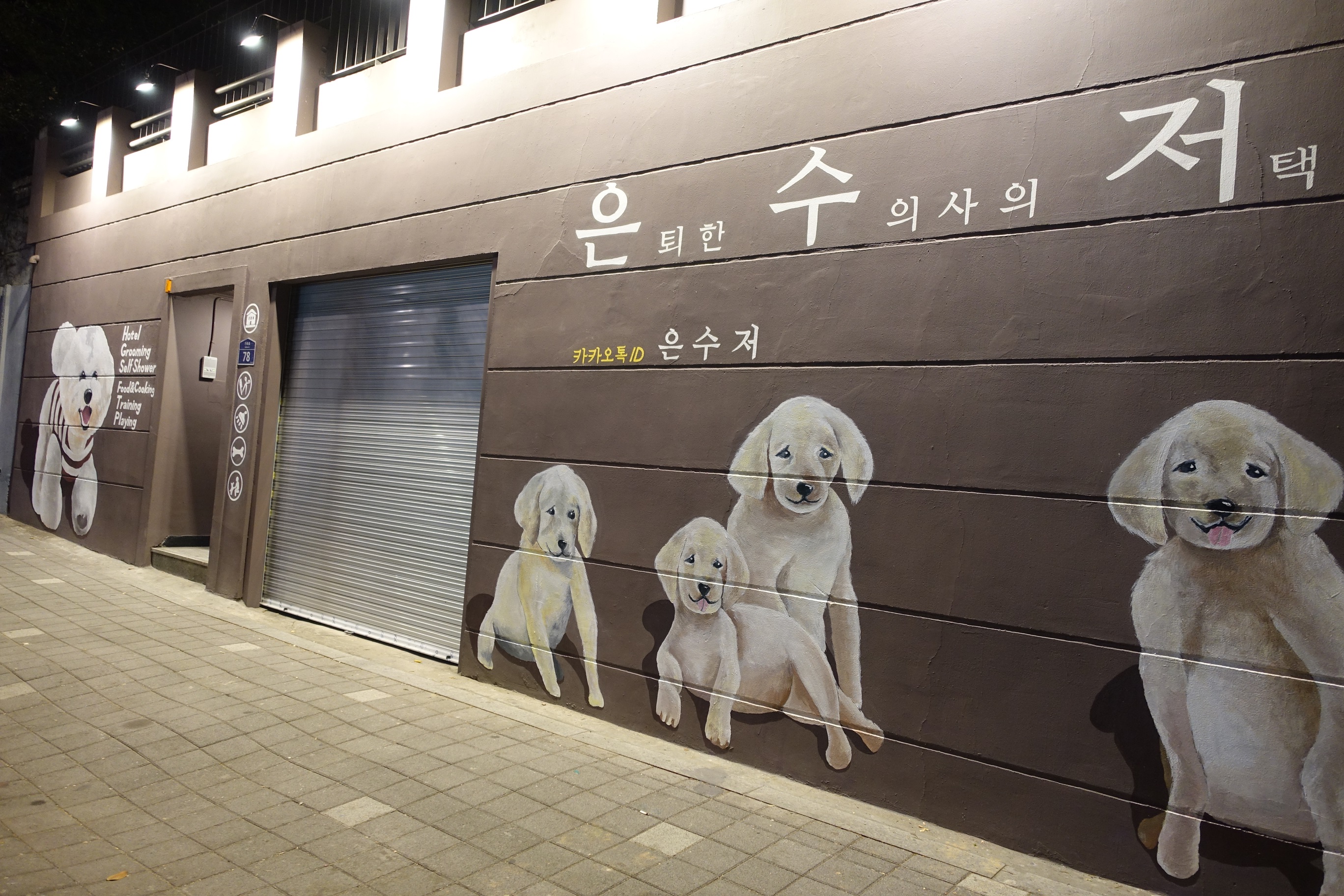 은퇴한수의사의저택 대표 이미지