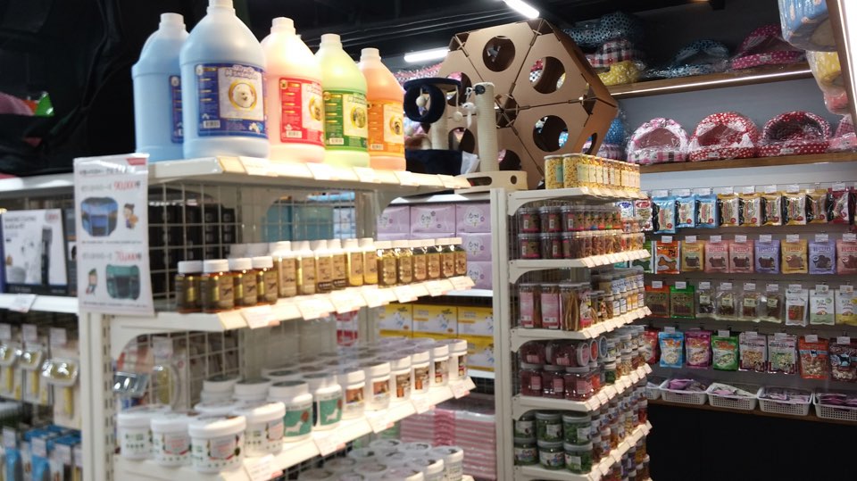 야옹아멍멍해봐 대표 이미지