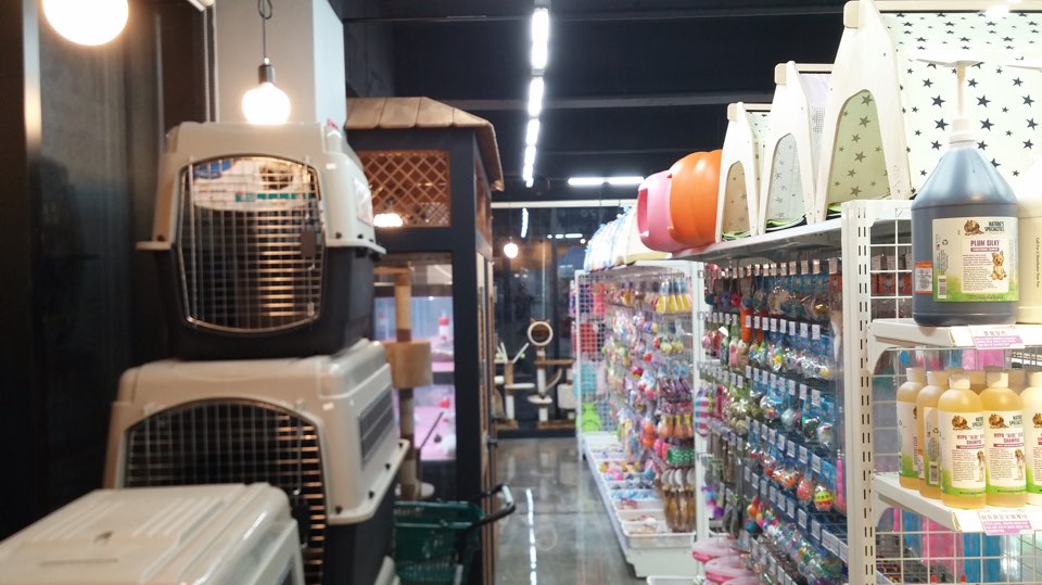 야옹아멍멍해봐 대표 이미지