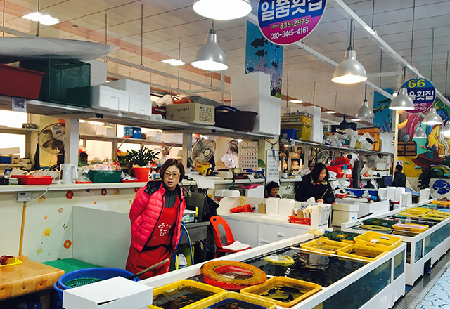 일품회센터