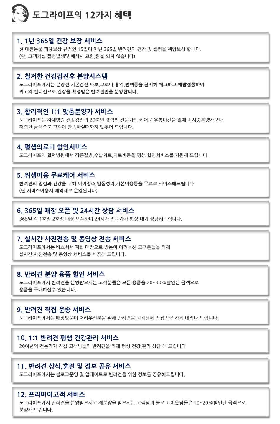 도그라이프 대표 이미지