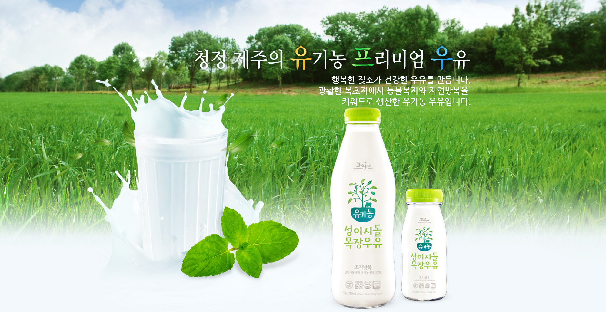 일동후디스 구미대리점