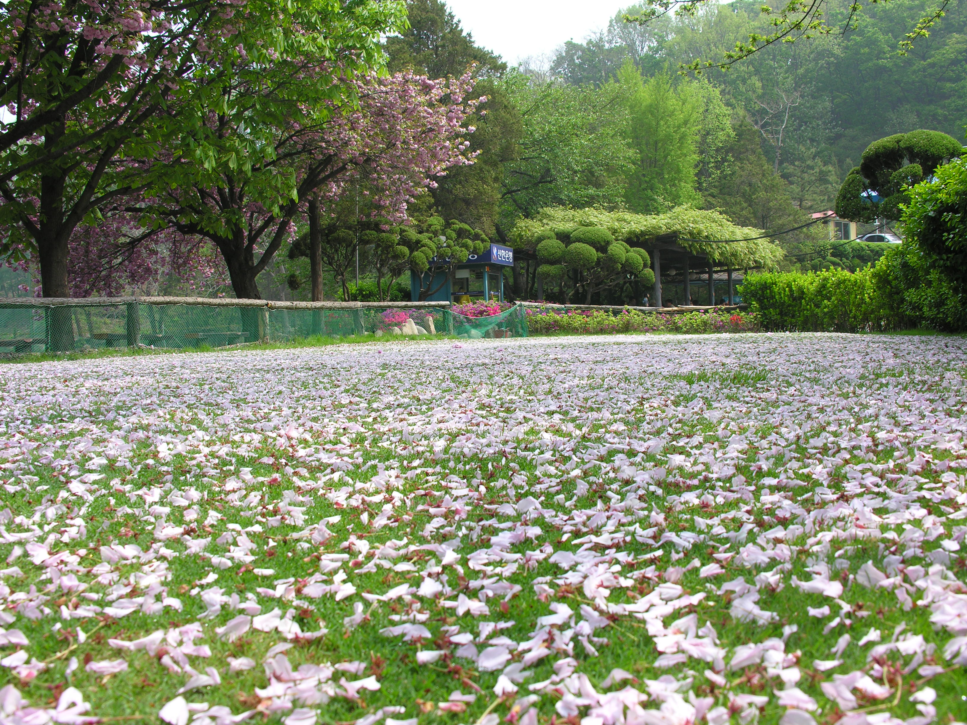 123골프클럽 대표 이미지