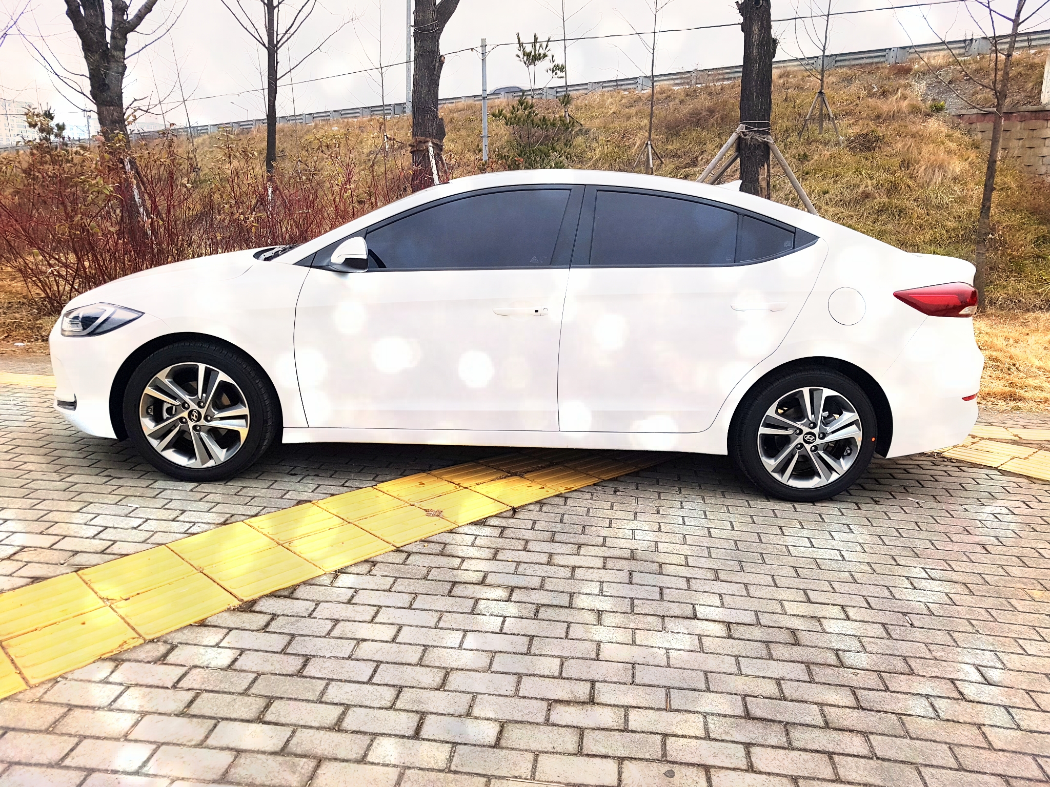 금오렌트카 대표 이미지