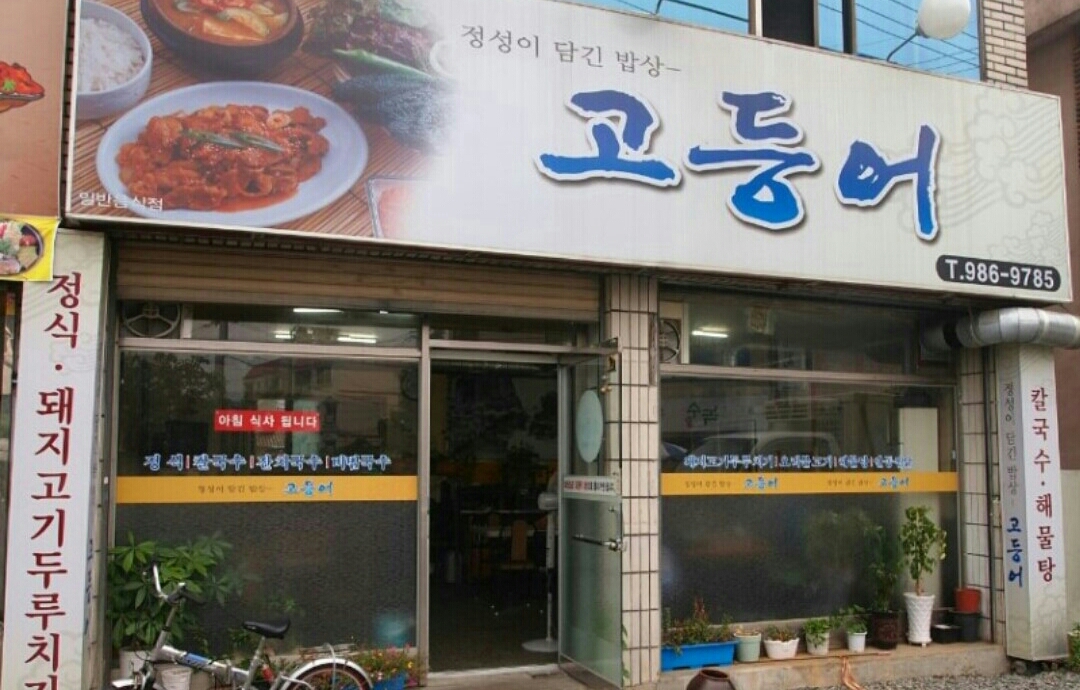 잘난고등어 5