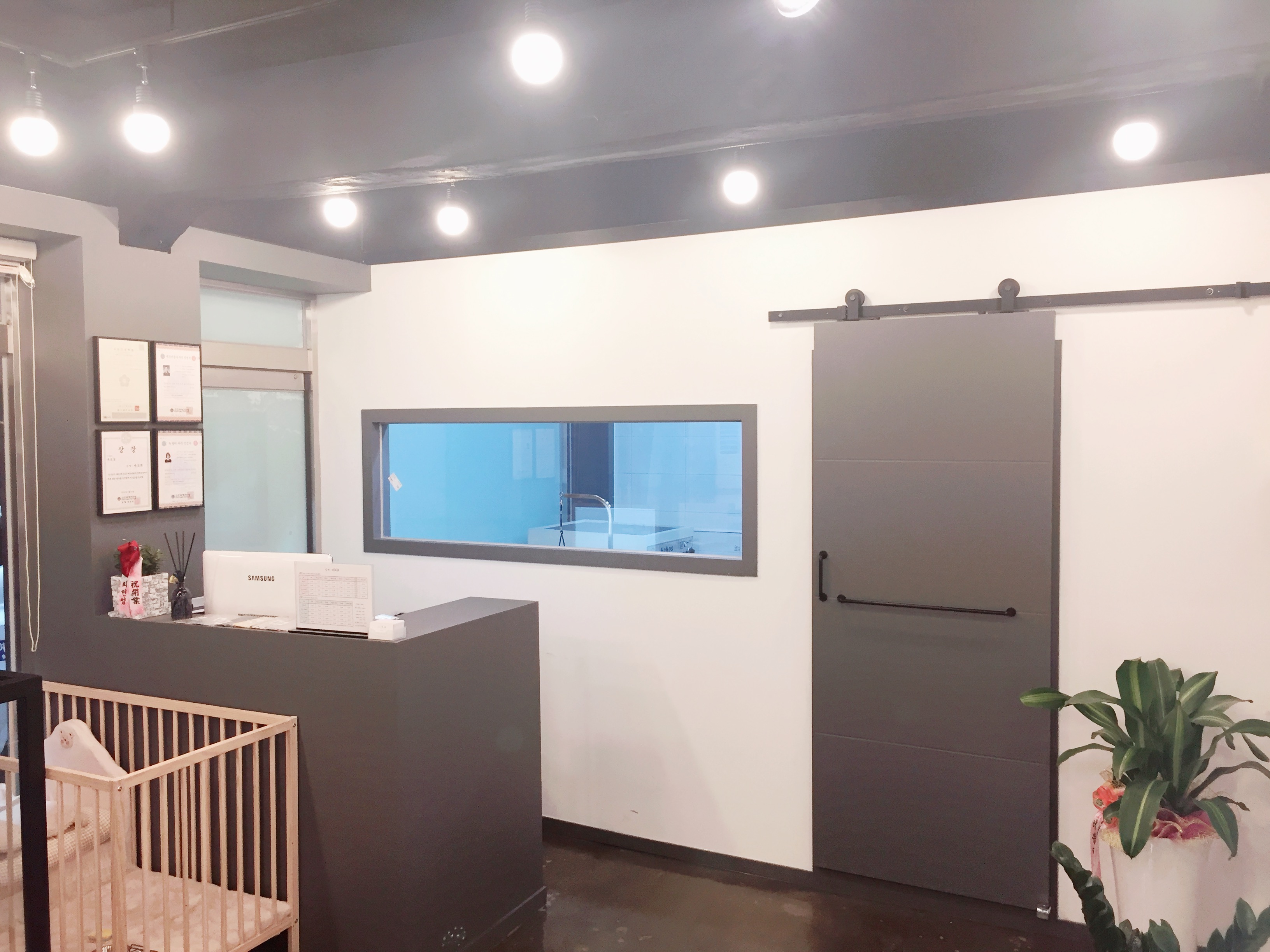 날개 대표 이미지