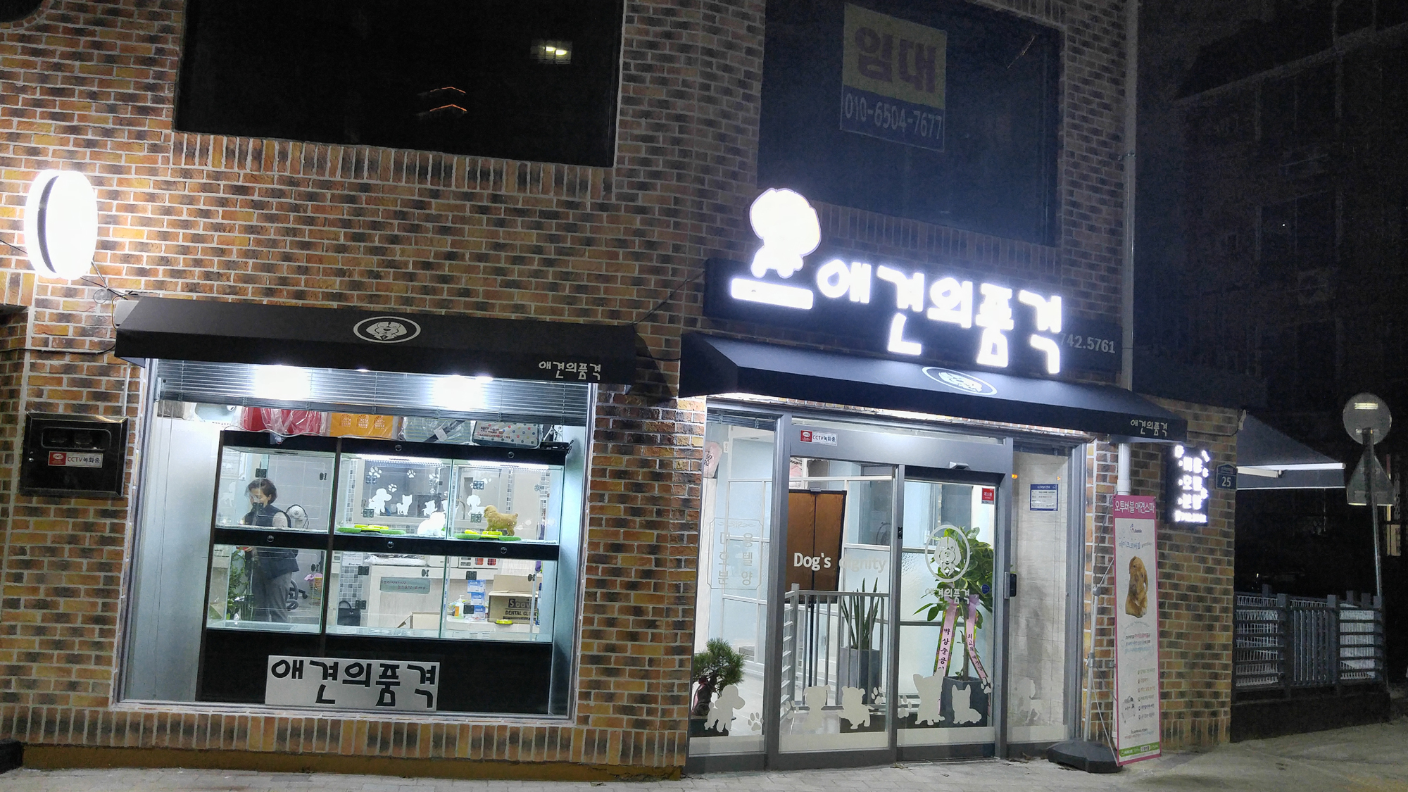 애견의 품격 대표 이미지