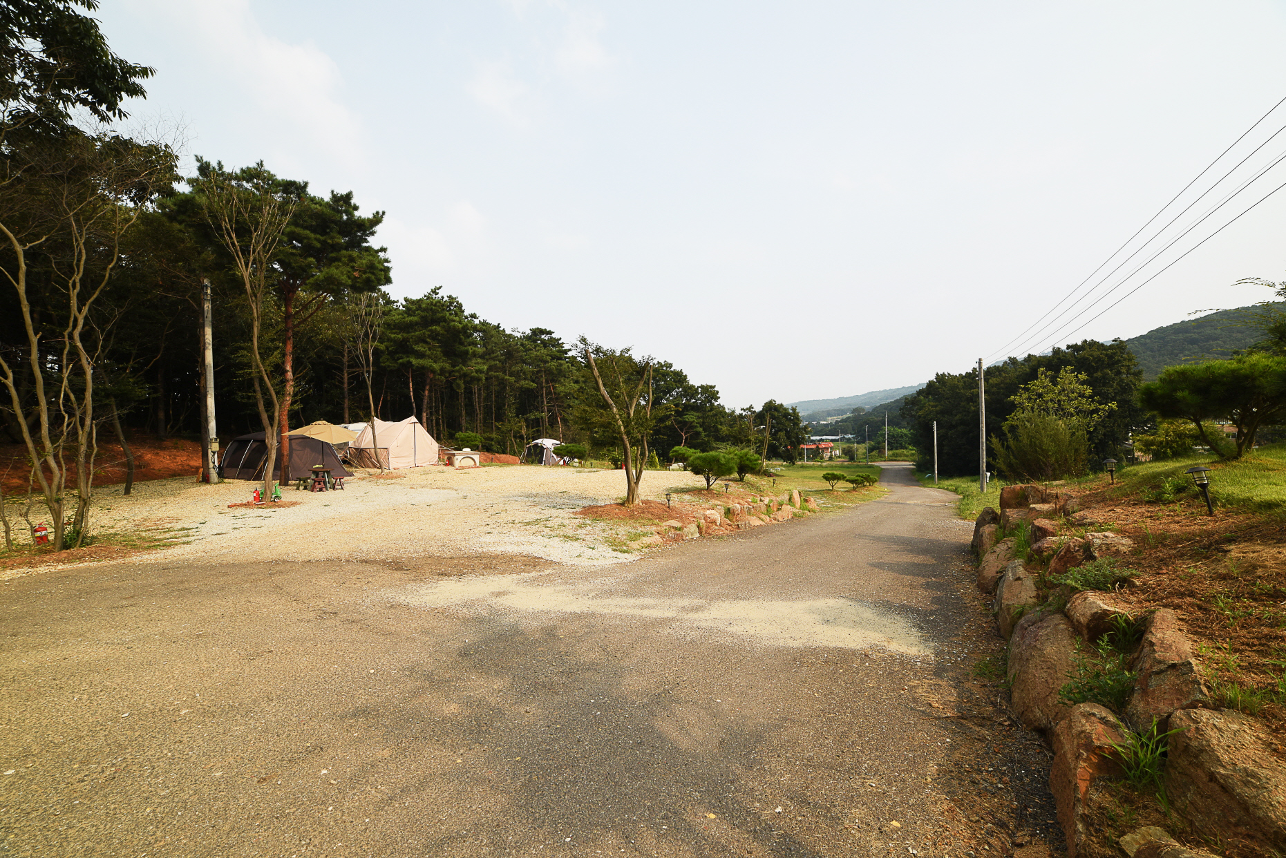 더숲캠핑장