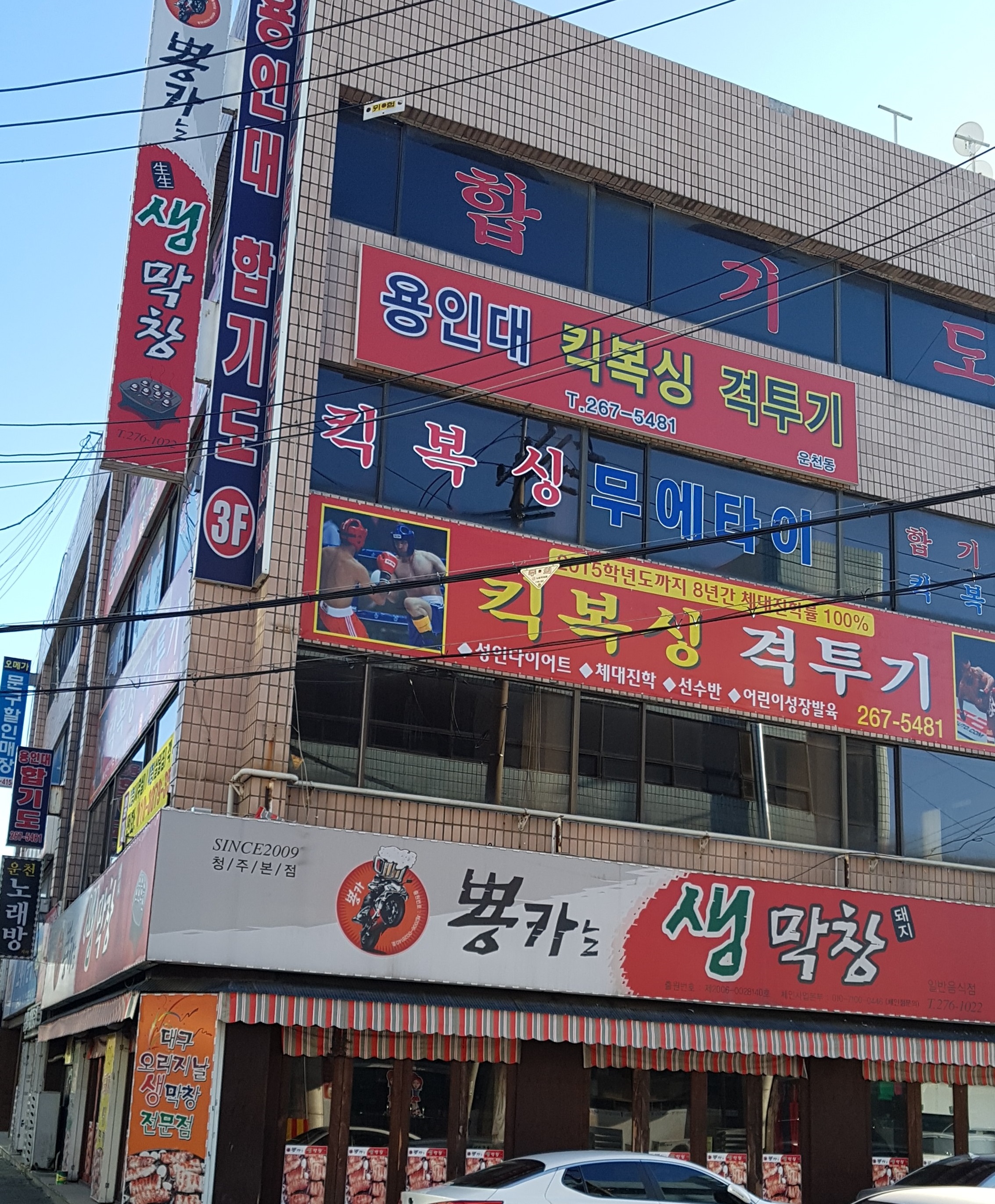 뿅카는생막창 본점