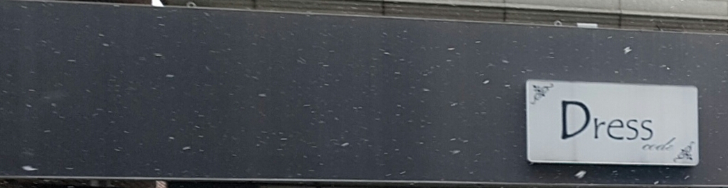 드레스