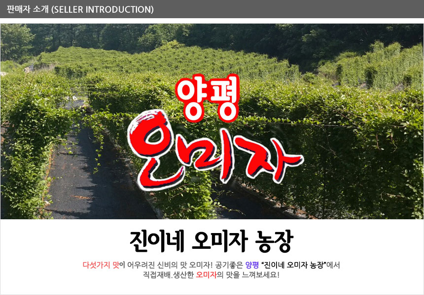 진이네오미자농장