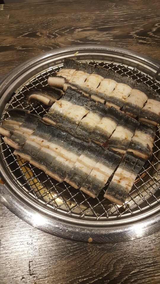 기센장어